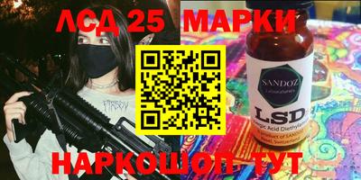 индика Обь