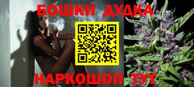 индика Обь