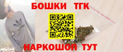 индика Обь