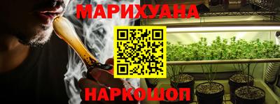 индика Обь
