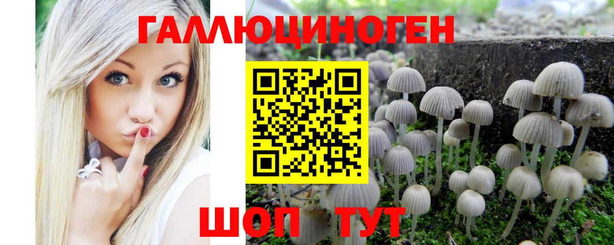 Псилоцибиновые грибы MAGIC MUSHROOMS  Вход с VPN  Фрязино 