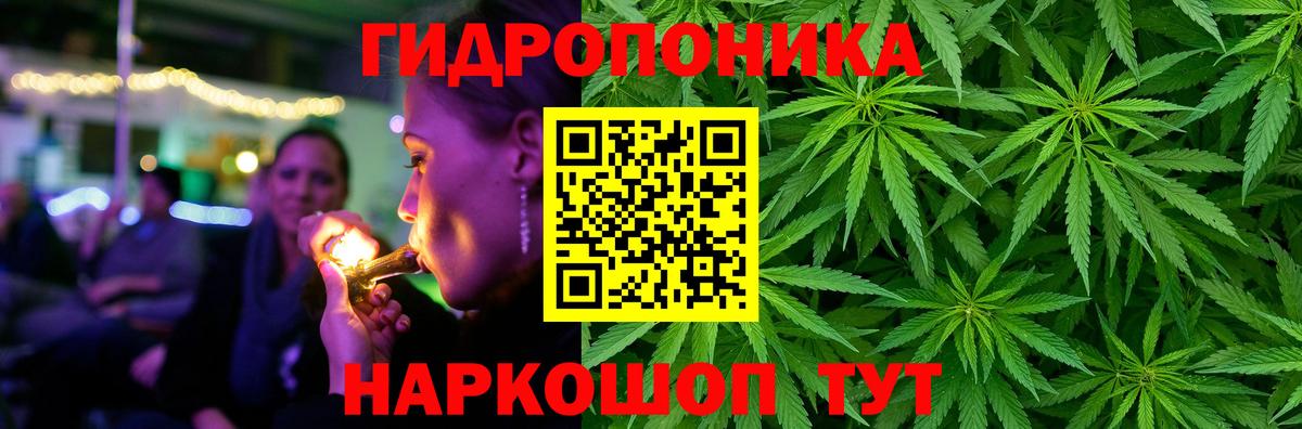 Канабис Bruce Banner  Каннабис Bruce Banner  Вход с VPN  Фрязино 